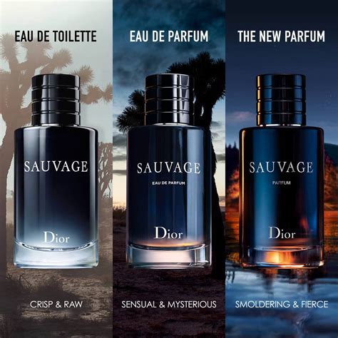 scent of dior sauvage|dior sauvage scent description.